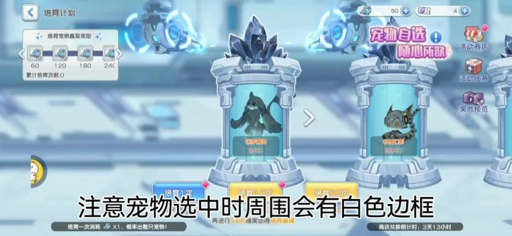 宠物活动会歪之谜截图