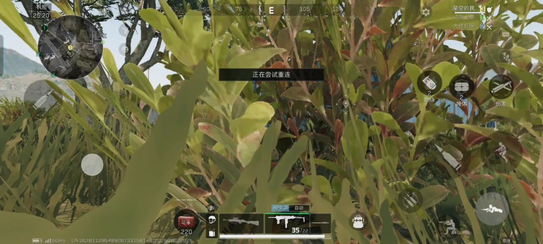 video-5054192