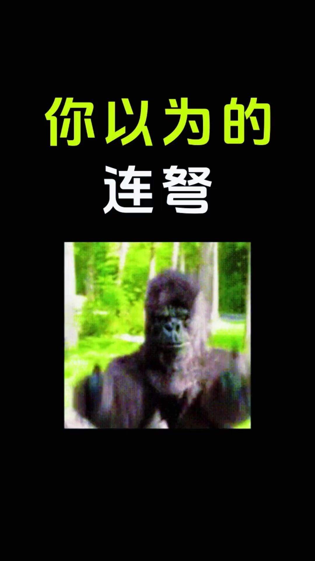 video-5055164
