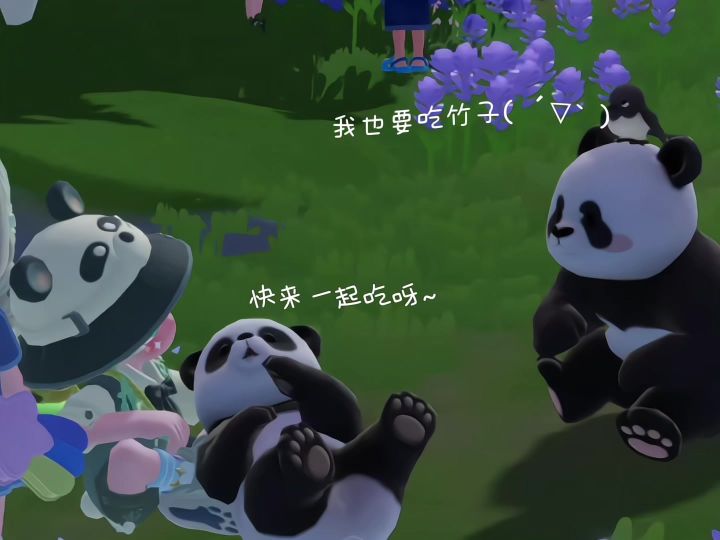 心动小镇快来投喂超可爱的熊猫截图