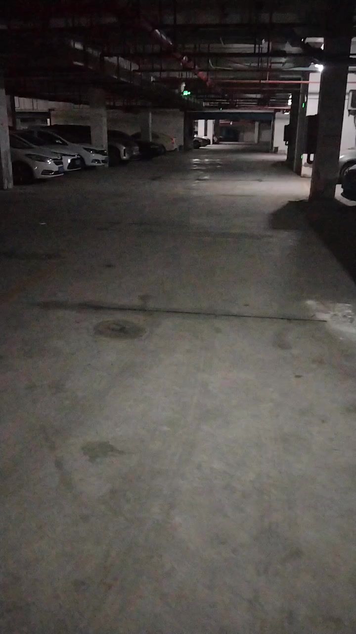 车库清唱一首《桃花诺》截图
