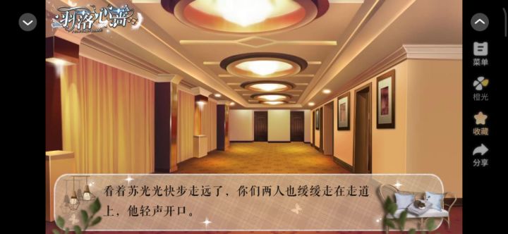 13羽落心蔷截图