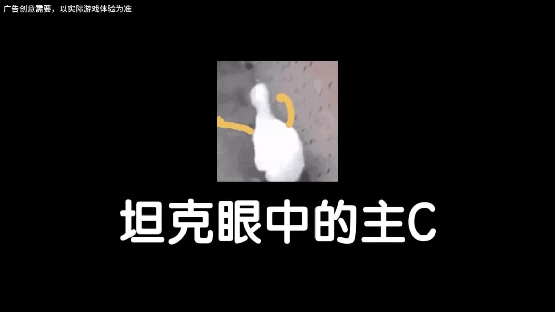 video-5069127