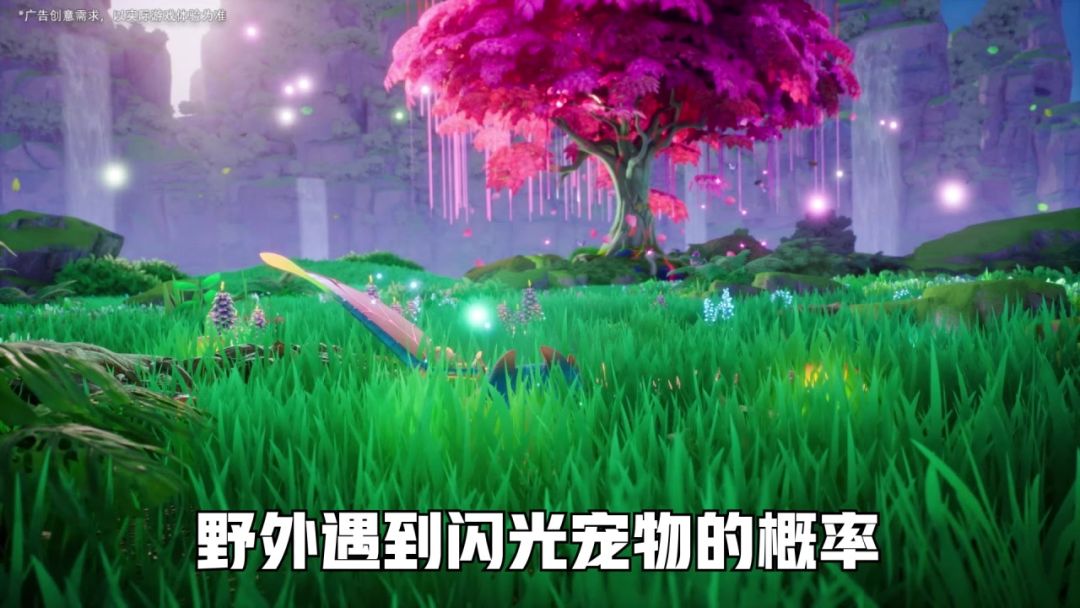 video-5069720