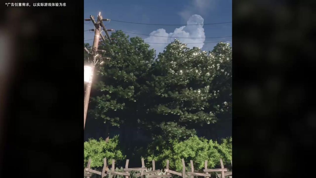 video-5069906