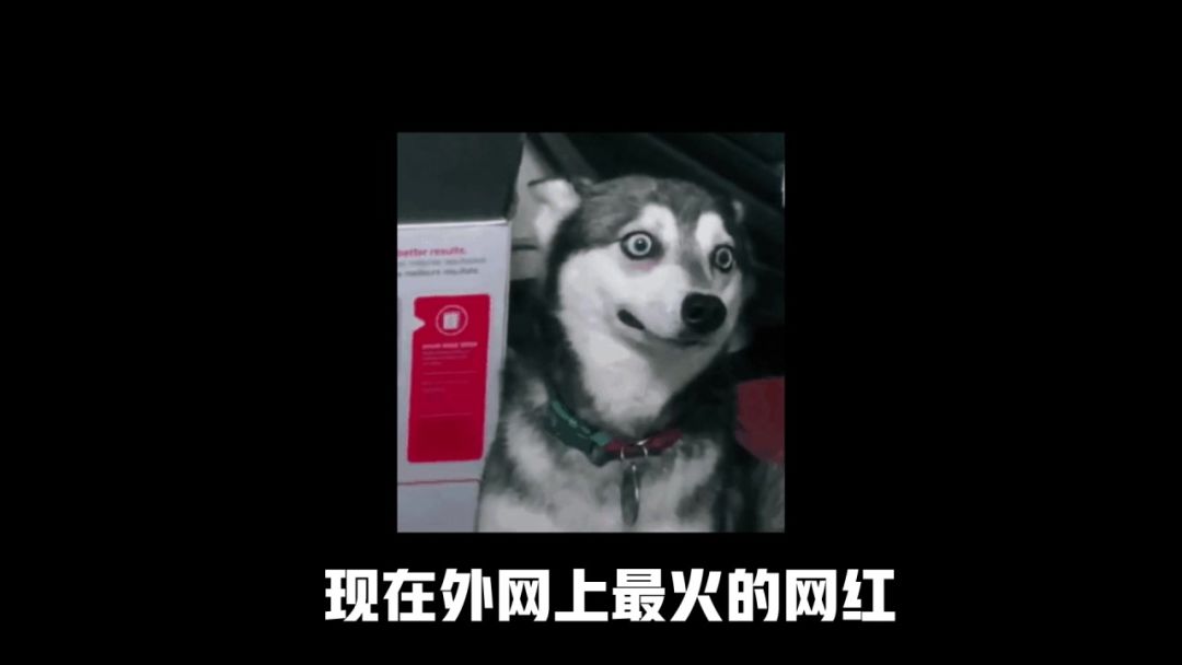 video-5069937