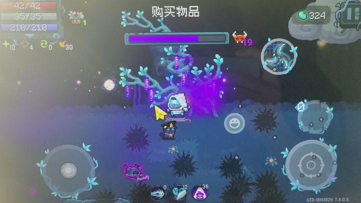 Bug截图