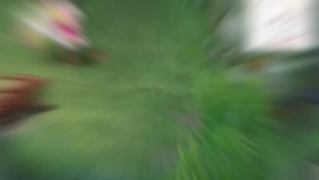 video-5076626