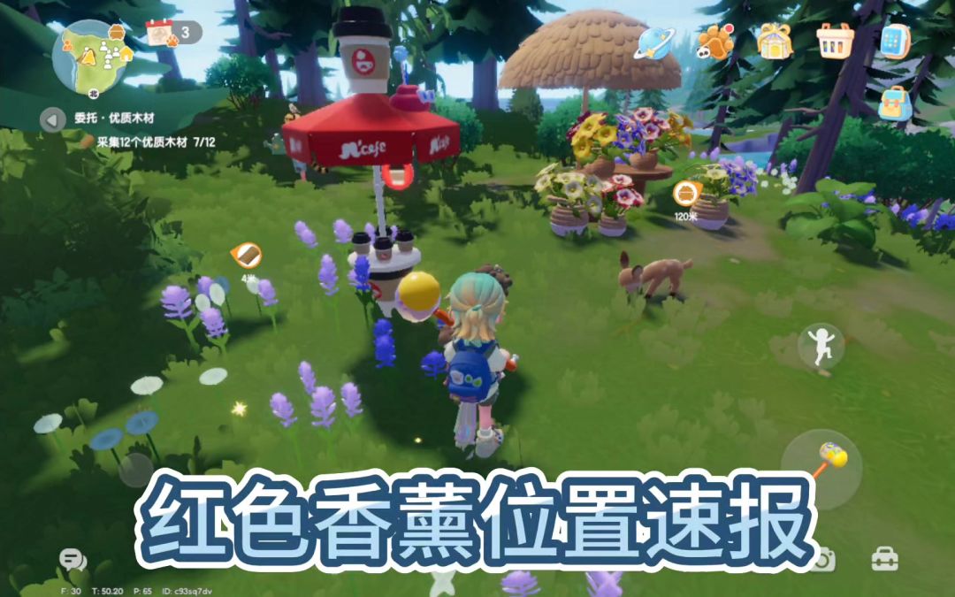 红色香薰位置截图