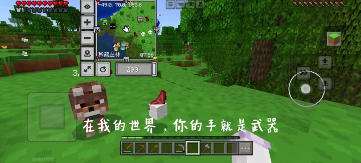 在我的世界动物摸不得截图