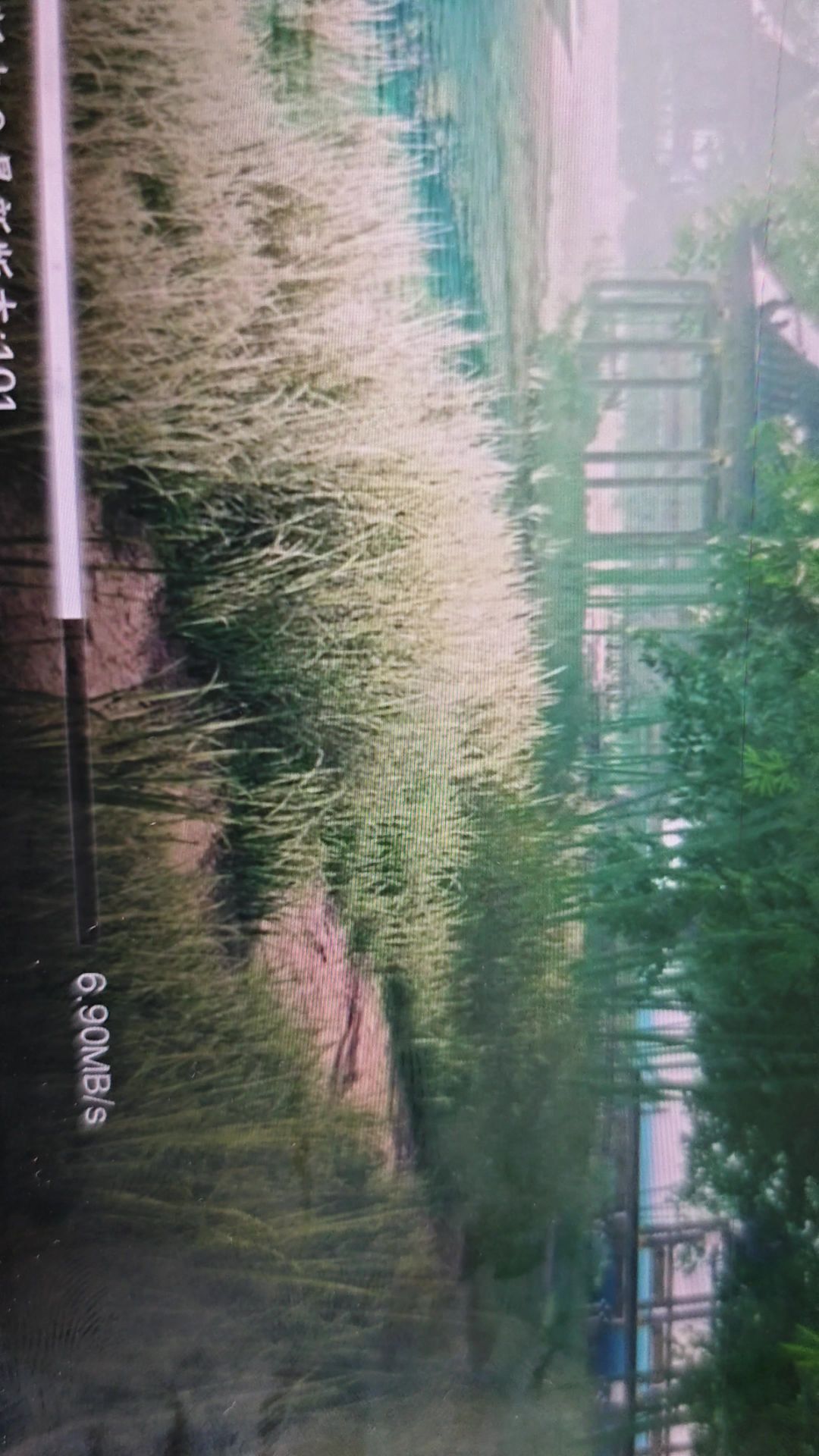 video-5079179
