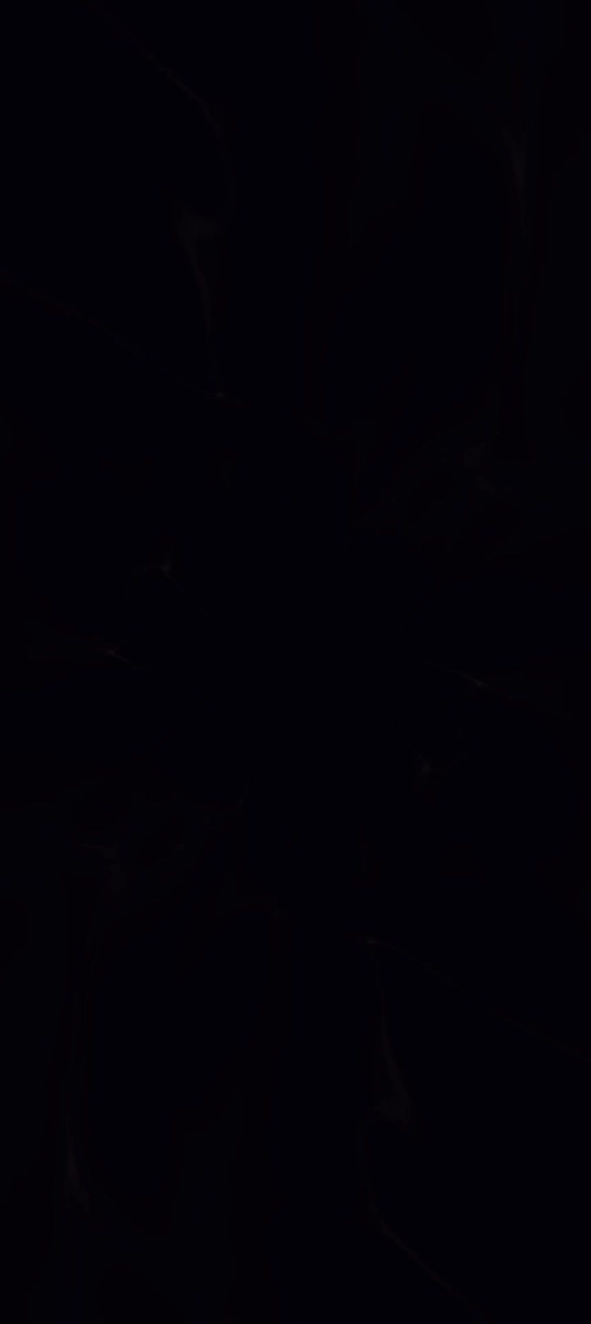video-5079597