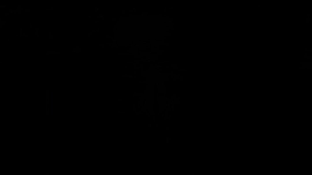 video-5079666
