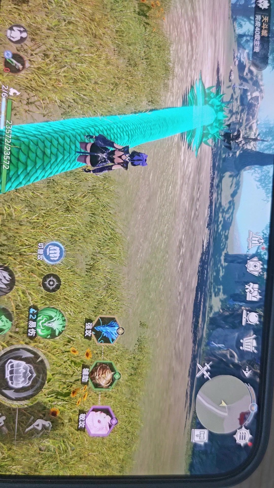 video-5081063