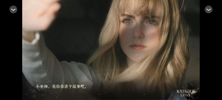 【HP】狐狸骑士截图