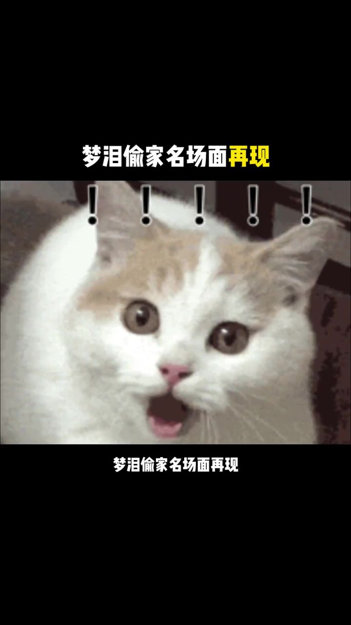五条悟再现梦泪偷家名场面!!!截图