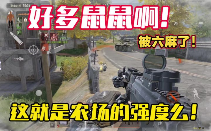 这就是强封农场的强度么,好多老鼠!被六麻了。截图