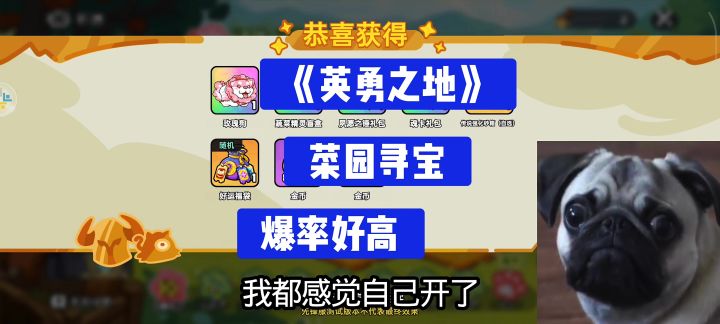《英勇之地》菜园寻宝爆率高不高?截图