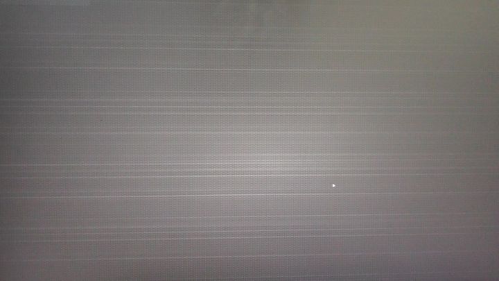 这种是桂吗?截图