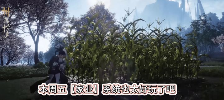燕云十六声本周五家业玩法,家业怎么开,家业在哪里,家业玩法什截图