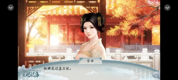 王妃记事截图