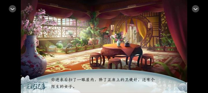 王妃记事1截图