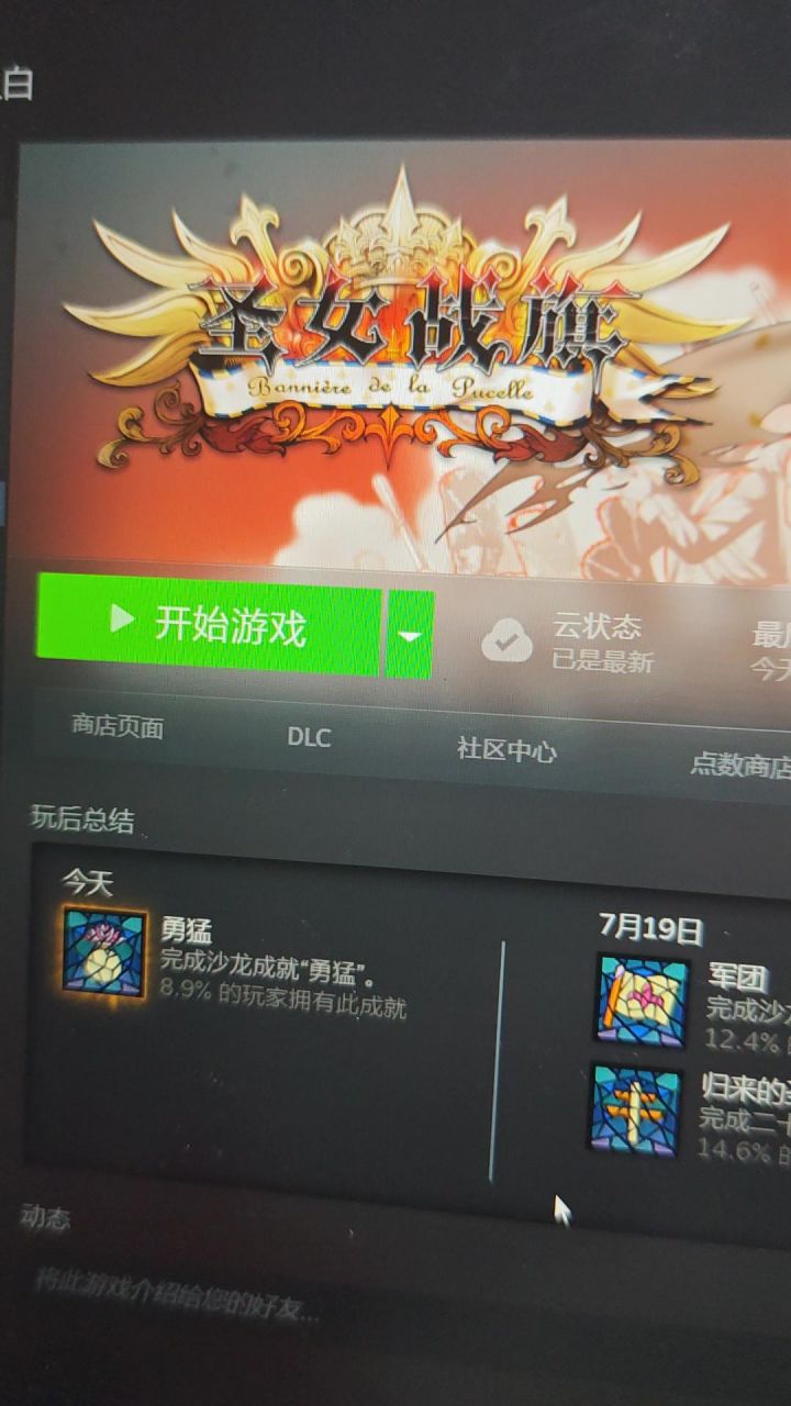 圣女战旗成就一则截图