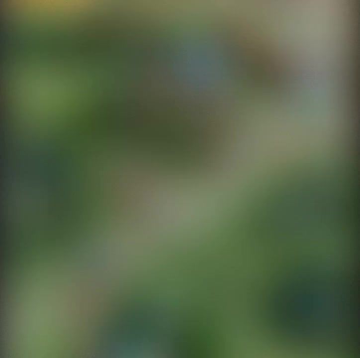 video-5110368