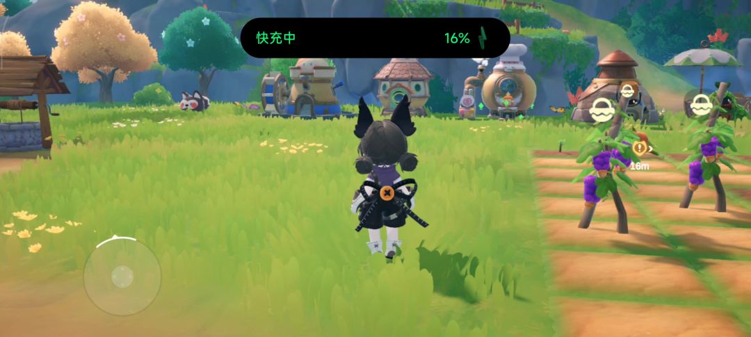 video-5116831
