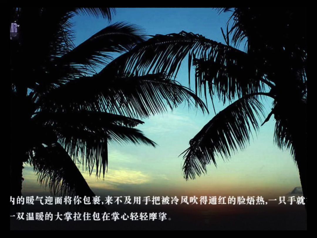video-5122047
