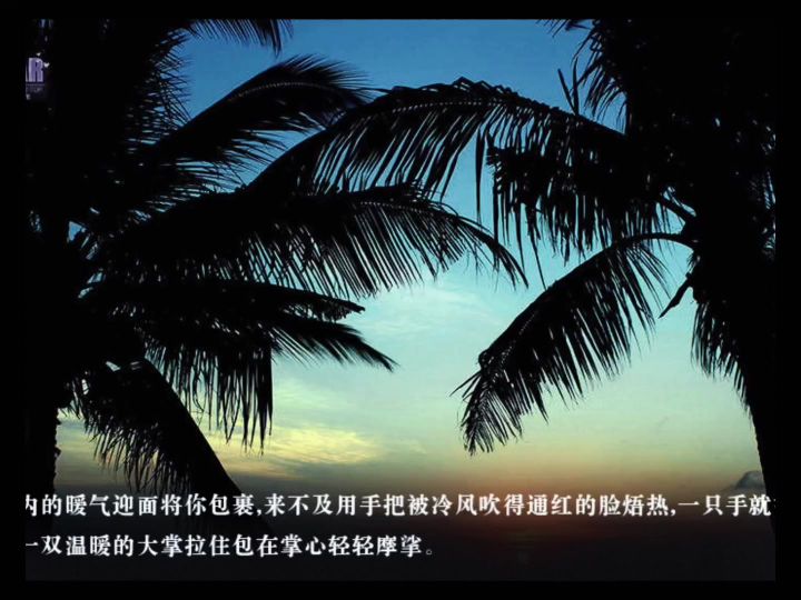 我的古早白月光截图