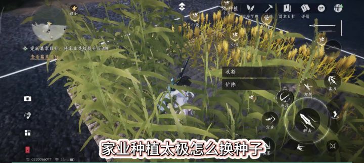 燕云十六声种植太极怎么换种子,种植教程,种植作物切换,截图