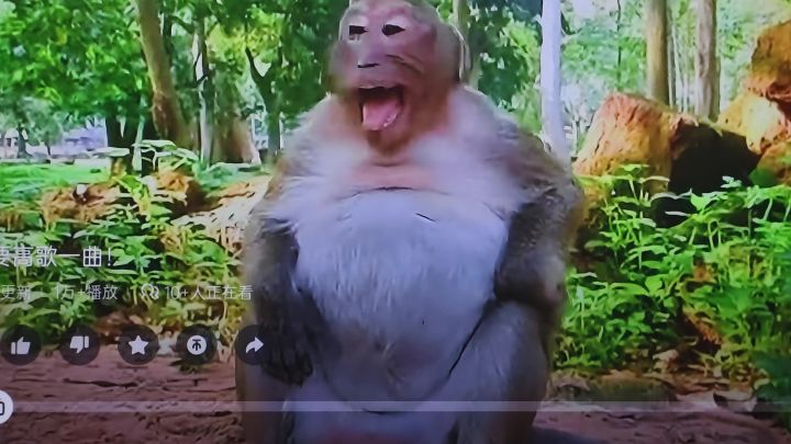 求助截图
