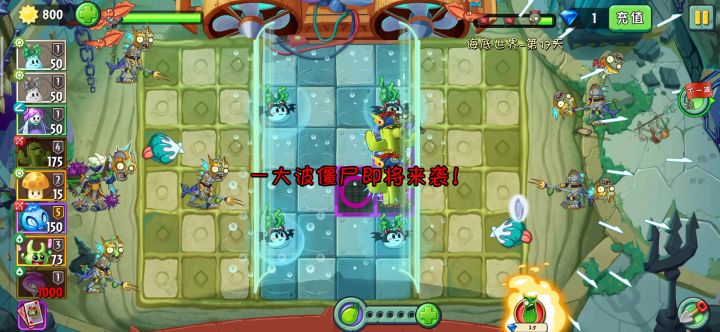 除了贝壳其他植物种植不消耗阳光截图