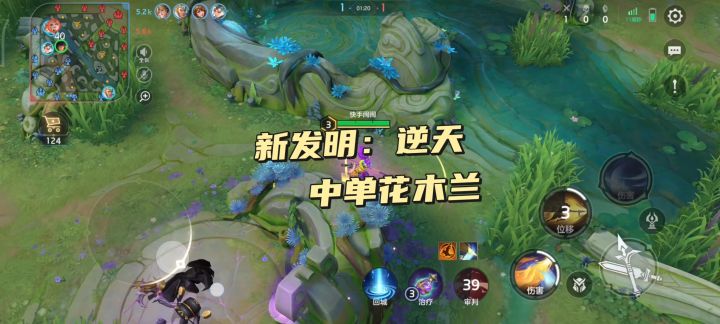 新发明:中单花木兰截图