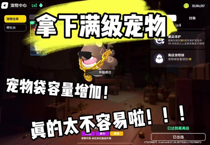 拿下满级宠物截图