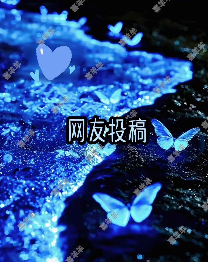 投稿截图