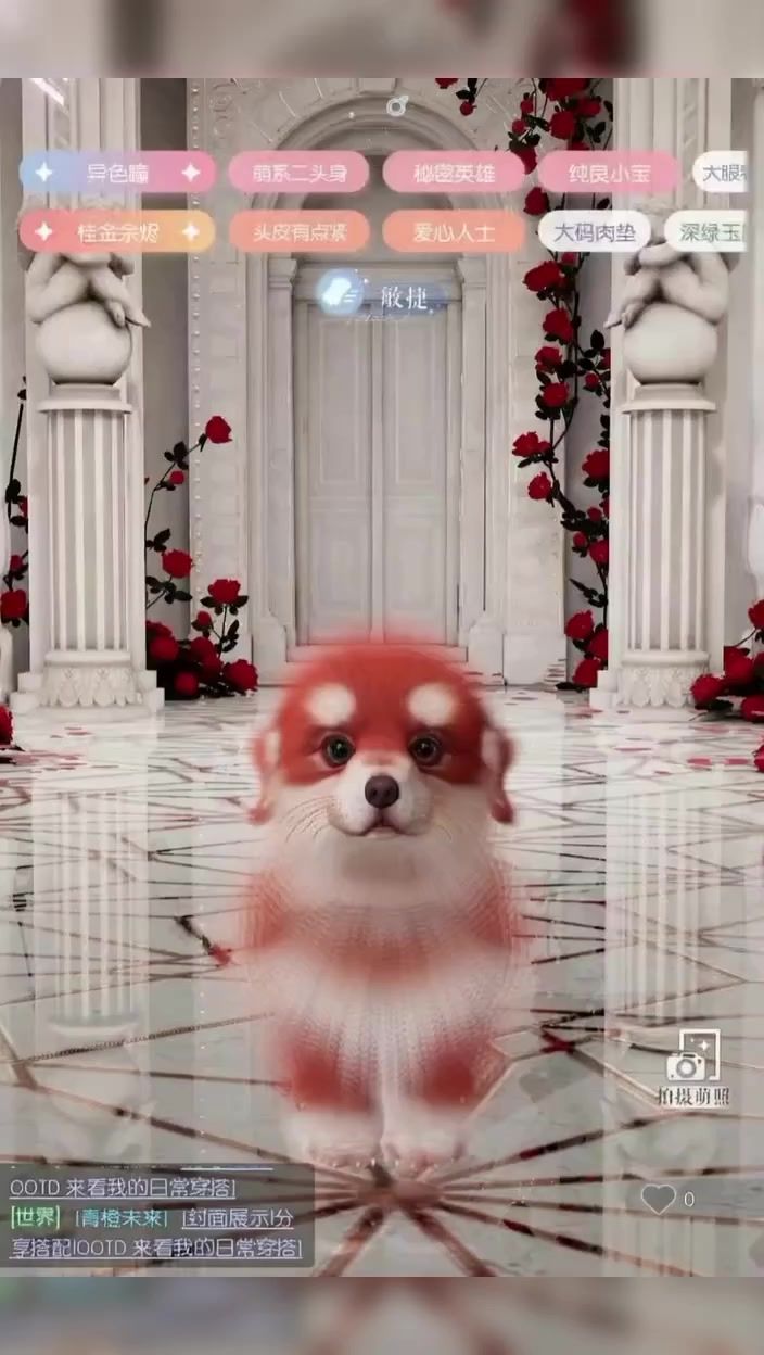 video-5135521