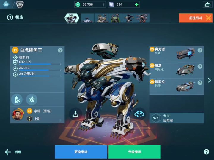 低配白虎 cr ：暗冰截图