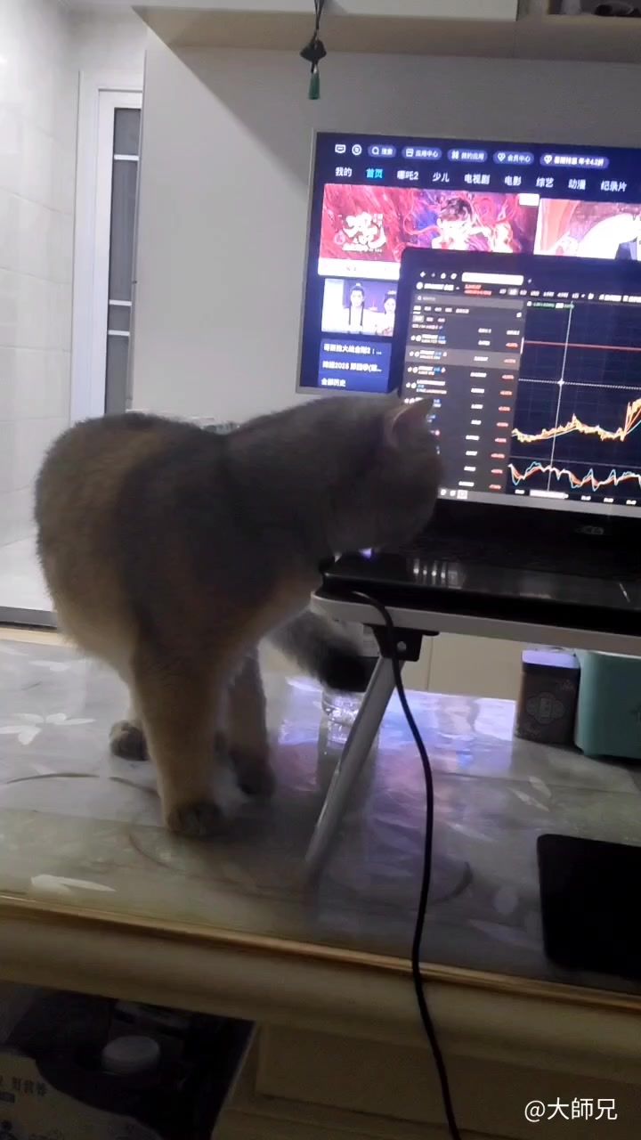 video-5139816