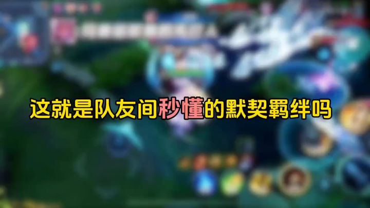 这就是队友间秒懂的默契羁绊吗截图