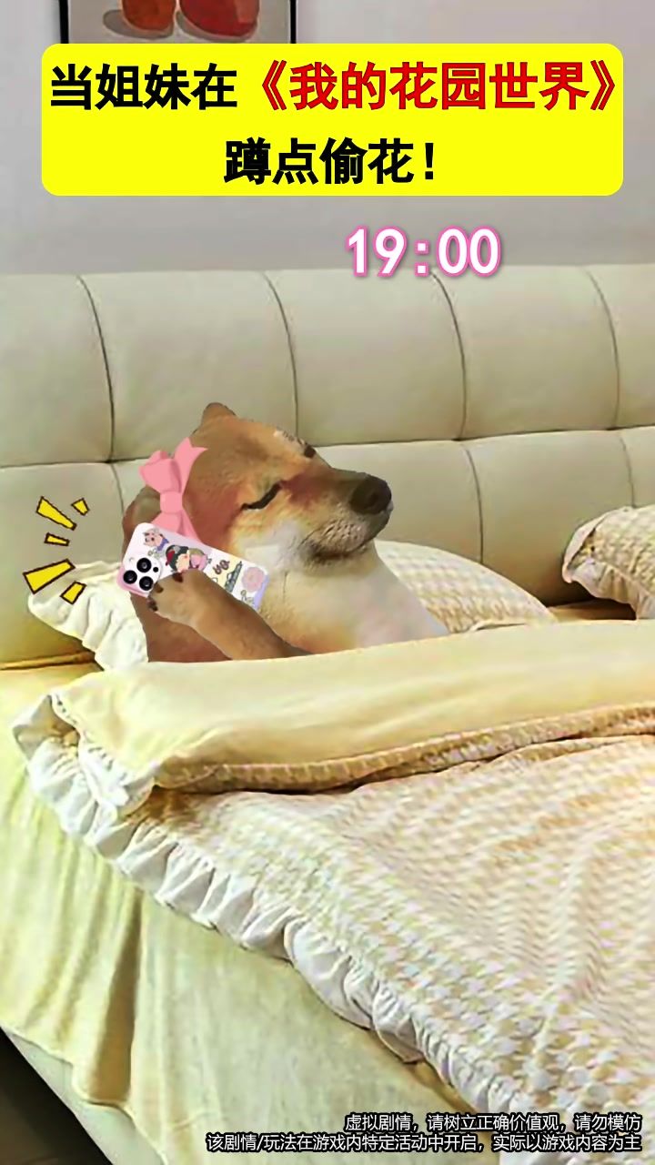 video-5143807