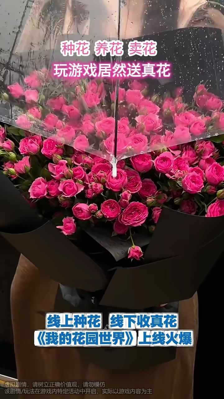 video-5143813