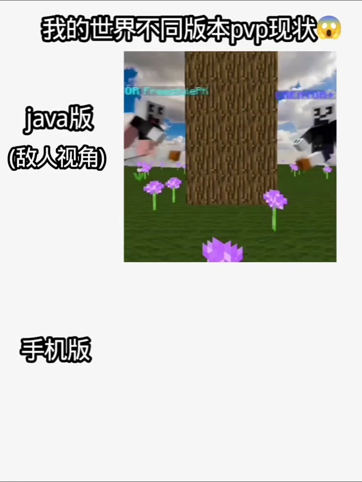 不同版本的PVP现状截图