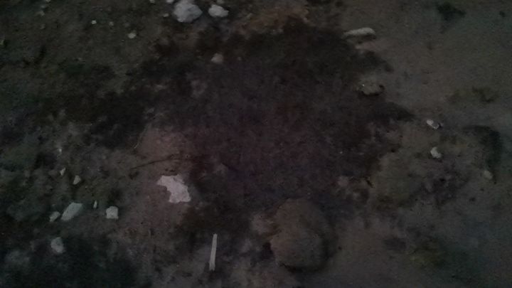 好风景截图