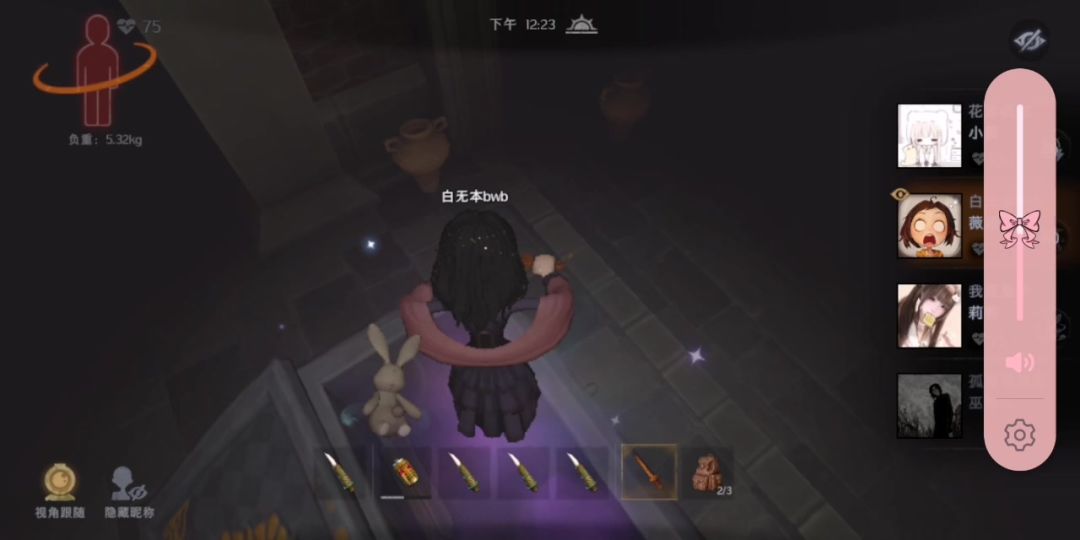 video-5150322