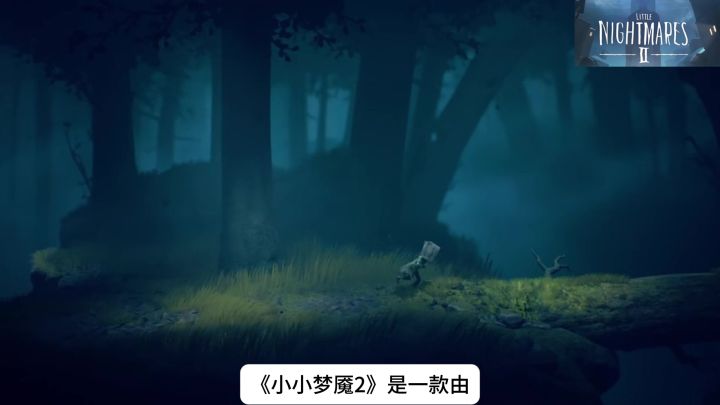 【今日安利#88】这一次我们有了同伴-小小梦魇2截图