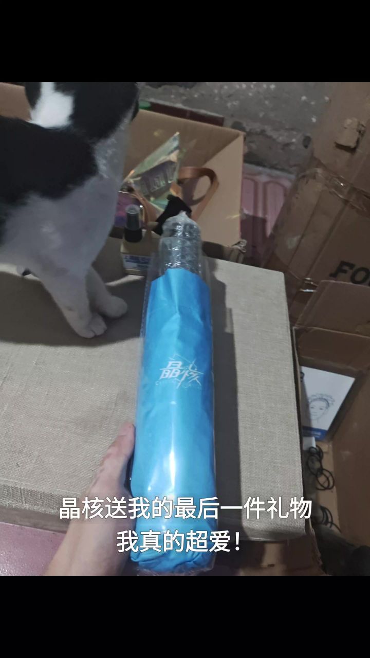 晶核送我的最后一件礼物我真的超爱!截图