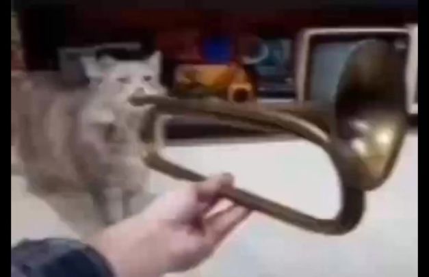 😋截图