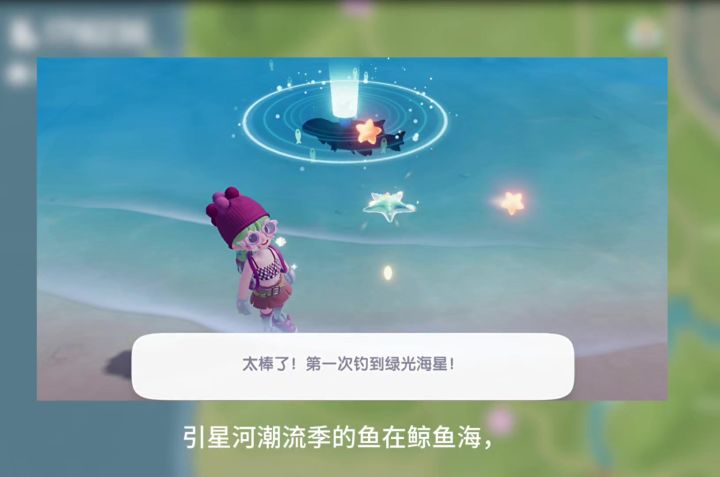 这次潮流季的鱼是食材,大家要多准备一些了截图